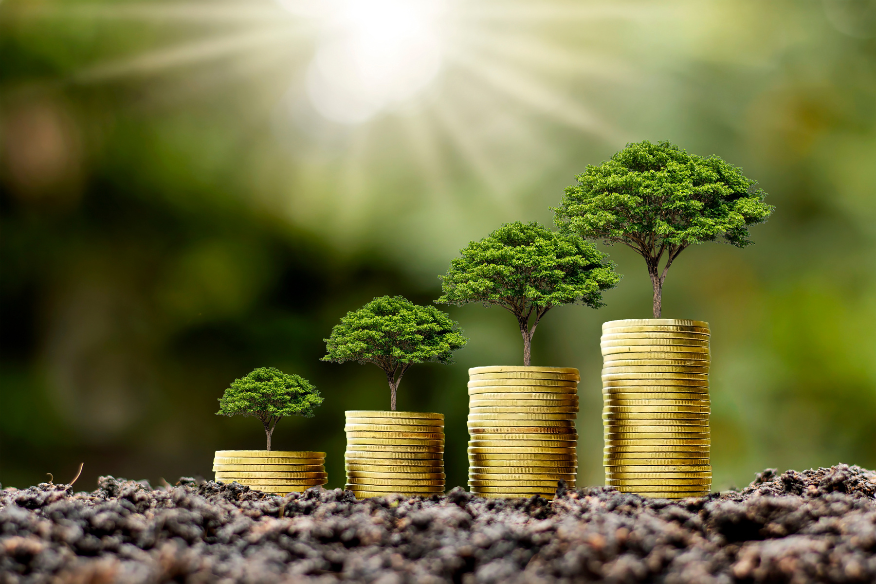Planting Trees Can Earn Money Concept